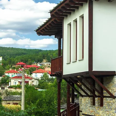 Zyudream Guest house