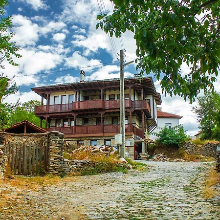 Zyudream Guest house
