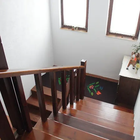 Guest house Zyudream