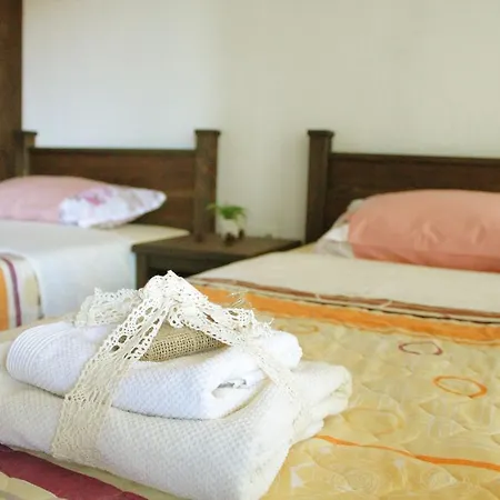 Zyudream Guest house