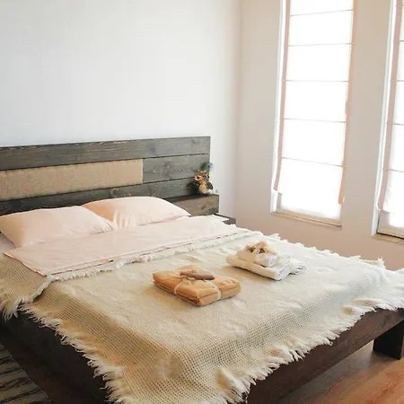 Guest house Zyudream *