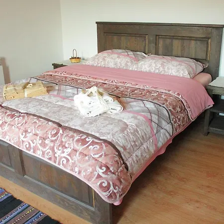 Guest house Zyudream